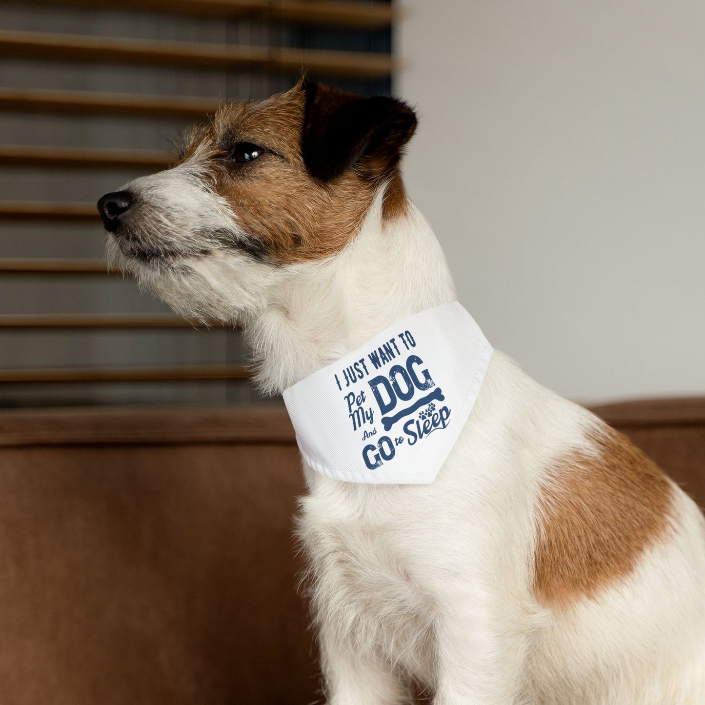 Pet Bandana Collar